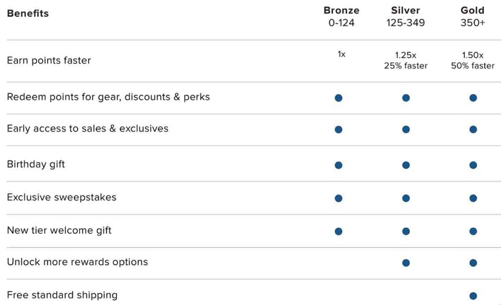 Customer loyalty points allocation