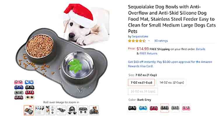 cute dog in Amazon image